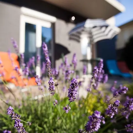 In - Balaton 19735 Apartment *