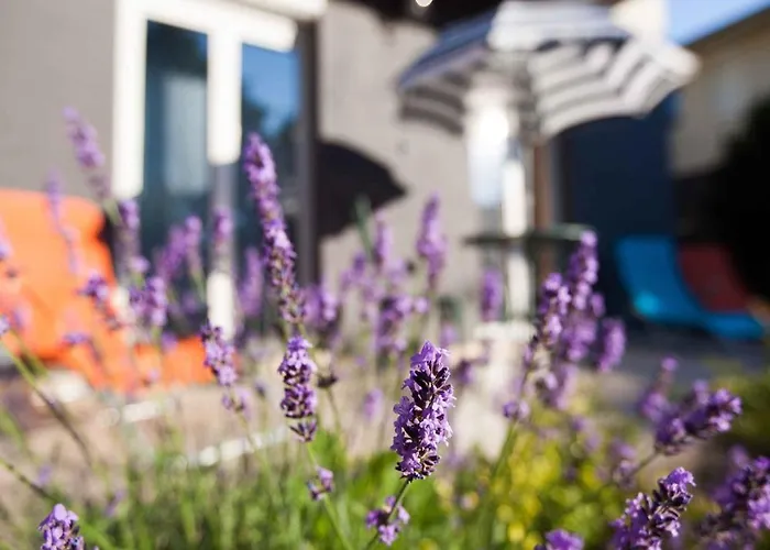 In - Balaton 19735 * 시오포크